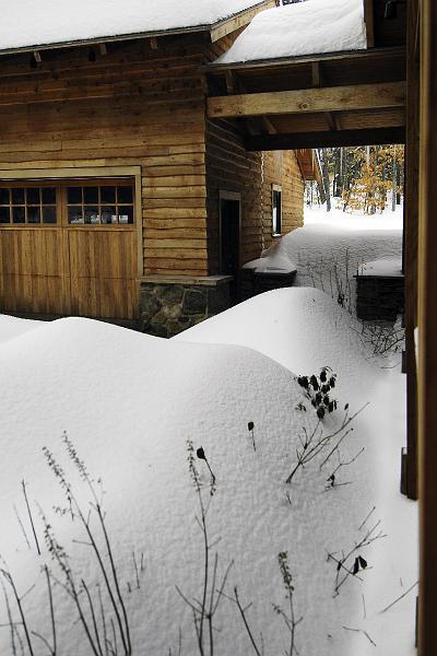 20080213_103243 D2X F.jpg - Snowed in at Happy Tails, Bridgton, Maine